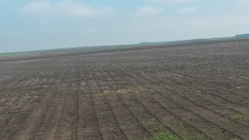 Imagen 4 de 11 de Florida, Exepcional Estancia Agricola Con Represas