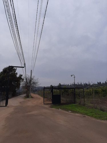 Excelente 2 Sitios 5.000 M2 C/u, Los Laureles/ Limachi