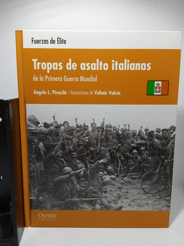 Tropas De Asalto Italianas De La Primera Guerra Mundial 