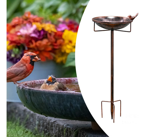 Alimentador De Pájaros De Hierro Baño De Pájaro De Metal