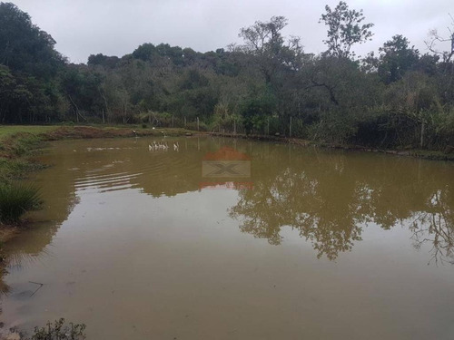 Imagem 8 de 14 de Sitio Ibiuna 40.000 Mts Sede,piscina,lago, Campo E Baias !!