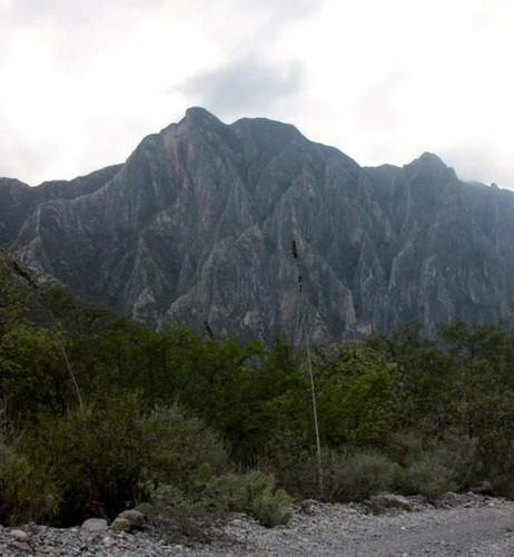 Imagen 17 de 18 de Terreno En Venta En La Huasteca Km 8.5