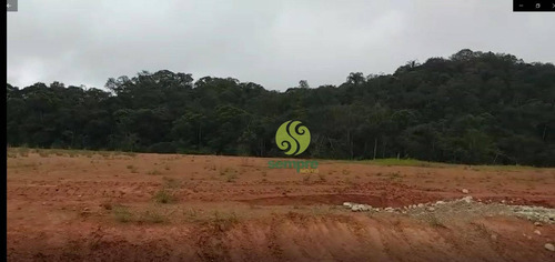 Imagem 14 de 22 de Áreas / Terrenos À Venda A Partir De 2.299,30 M² - Brusque/santa Catarina - Te0031