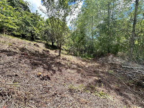 Terreno En Arique Ruta A Valdivia (133760)