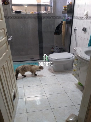Imagem 14 de 14 de Apartamento - Ap03017 - 68554629