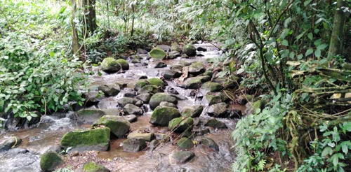 Imagen 3 de 14 de Bella Propiedad, Paz Y Naturaleza, Tranquilidad, Tierras Mor