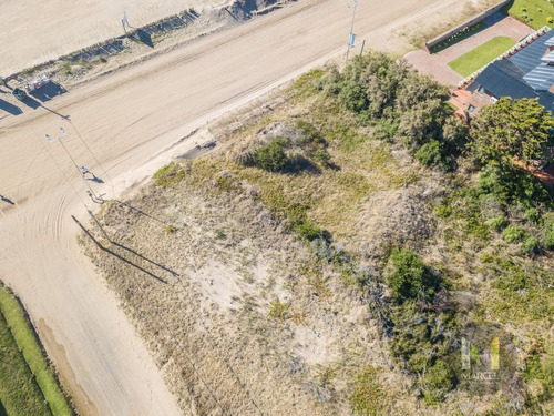 Imagen 6 de 13 de Frente Al Mar - Lote En Venta - Pinamar Norte