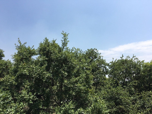 Venta De Terreno En Boulevard Bosque Real, Huixquilucan, Tvi1020