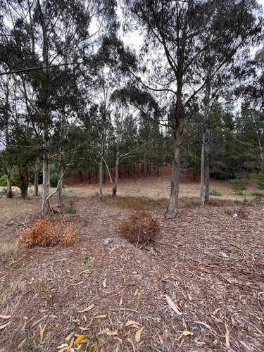 Imagen 2 de 5 de Lote En Costa Esmeralda Pinamar Senderos 3