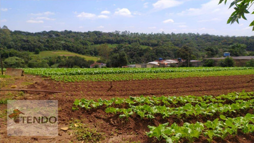 Imagem 2 de 15 de Imob03 - Área À Venda, 35000 M² Por R$ 2.500.000 - Chácara Sete Cruzes - Suzano/sp - Ar0005