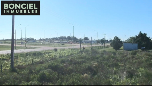 Muy Buen Terreno Logístico Ruta 5 K32 En Plena Rotonda