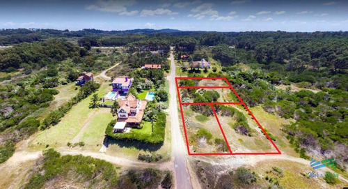 Imagen 3 de 11 de Venta Terreno Primera Linea Playa Mansa - Punta Del Este Mansa