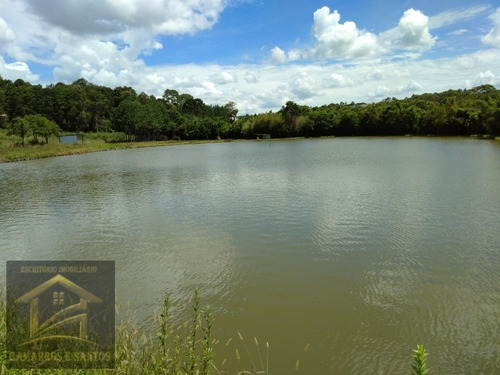Imagem 29 de 30 de Oportunidade De Investimento Em Área Industrial Com 238.000 M² Em Cgs - Ar00006 - 33571959