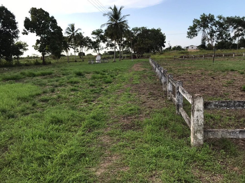Imagen 6 de 14 de Se Vende Finca En La Vía Al Sur