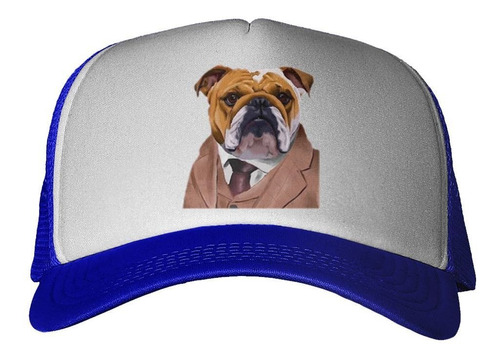 Gorra Bulldog Ingles Saco Y Corbata