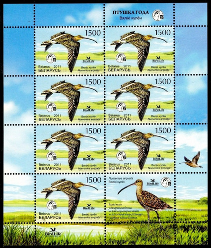 Fauna - Aves - Bielorrusia 2011 - Hojita Mint