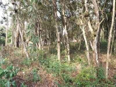 Imagem 2 de 7 de Ref.: 14717 - Terreno Em Cotia Para Venda - 14717