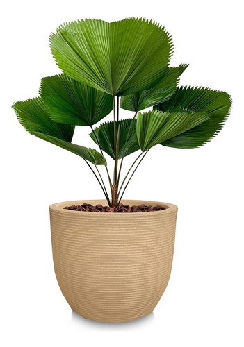 Vaso De Planta Frutifera Redondo De Polietileno 45x50 Areia