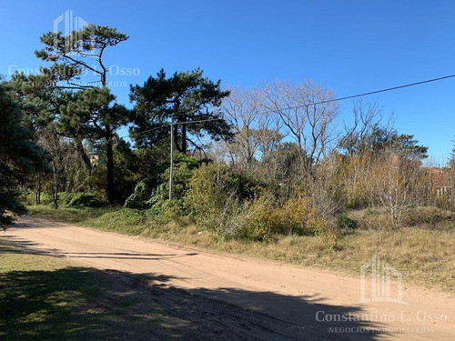Imagen 6 de 15 de Lote Venta - En Ostende - A 200 Metros Del Mar