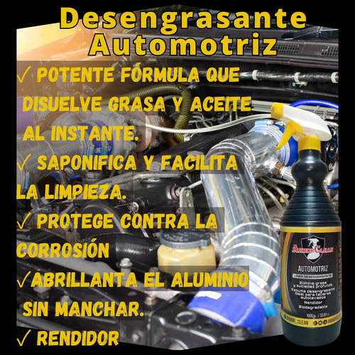 Combo Inicial Limpieza De Vehículos + Kit Detailing