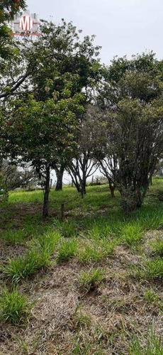 Excelente Imóvel, Todo Arborizado, Fácil Acesso, Pomar, Internet À Venda, 4693 M² Por R$ 300.000 - Pedra Bela/sp - Ch0761