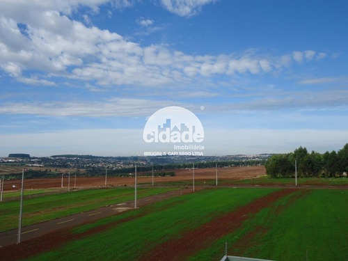 Imagem 11 de 14 de Terreno À Venda, Morumbi - Cascavel/pr - 11534