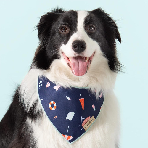 Bandana Para Perro, Paquete De 2, Juego De Playa Y Mercado D