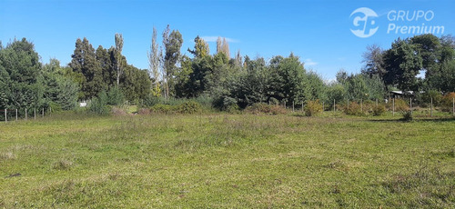 Parcela En Venta En Sector Las Ñipas En Santa Bárbara