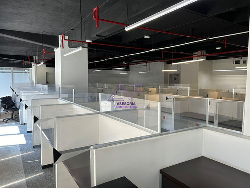 Oficina En Renta En Lomas De Chapultepec De 525 M² Lv113