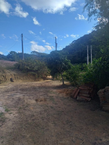 Imagem 3 de 6 de Vende-se Chácara Na Região Do Perocao