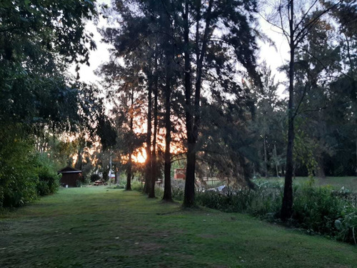 Imagen 9 de 14 de Aldea Del Lujan Barrio Nautico En El Delta. Alq Temporario