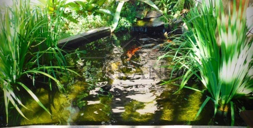 Imagem 7 de 30 de Casa À Venda Em Marambaia - Ca002335