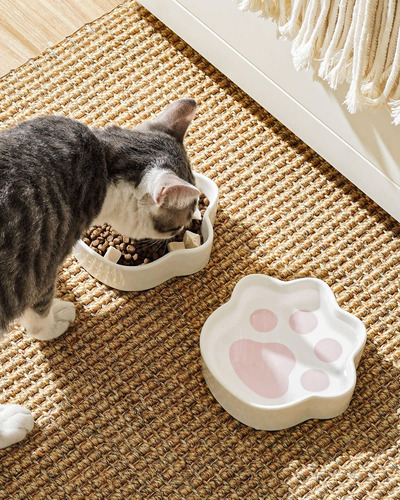 Cat Bowls Le Tauci Ceramic Shallow, 240 Ml, Capacidad Para M