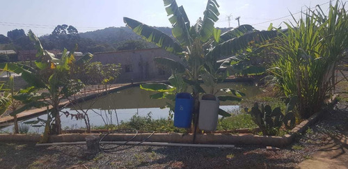 Imagem 3 de 13 de Boa Chácara C/ Piscina E Lago