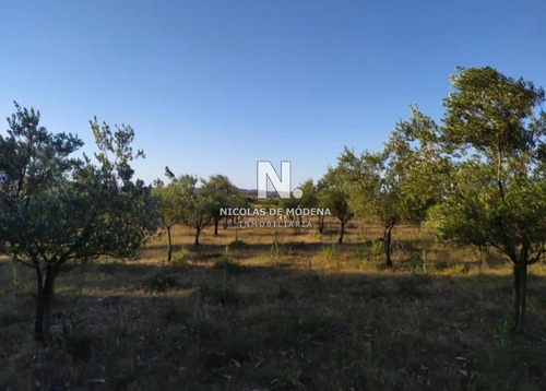 Campo De 5 Hectáreas En Venta.- Ref: 3032
