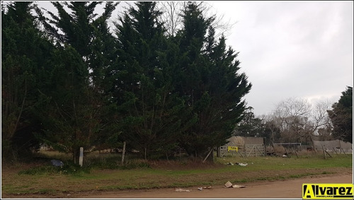 Imagen 12 de 14 de Lote De 5500 M2 A Metros De La Ruta Interbalnearia