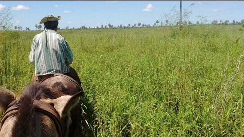 Imagen 4 de 12 de Campo Ganadero En Manuel Belgrano Formosa 944 Hectareas