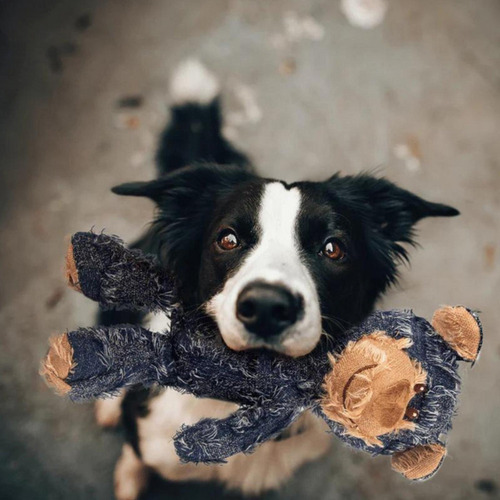 A Juguetes Masticables Para Perros De Peluche Juguete De