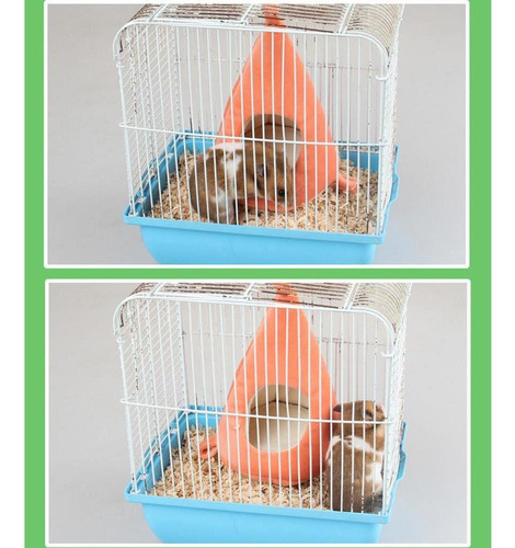 Zanahoria Hamaca Hurón Conejo Cobaya Hámster Ratones Cama