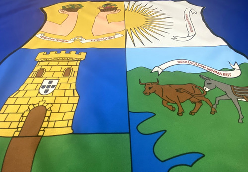 Bandeira De Belém - Pará 4p Oficial (2,56x1,80) Bordada