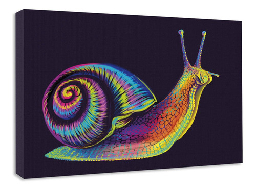 Cuadro Decorativo Canvas Caracol Vector Multicolor 80x60