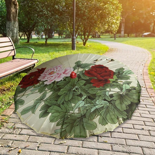 Parasol Oriental Del Paraguas E