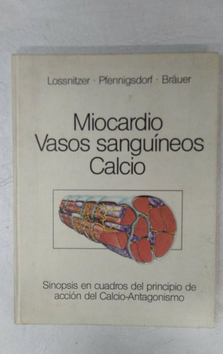 Miocardio Vasos Sanguineos Calcio - Lossnitzer 