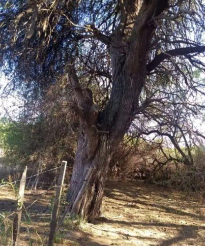 Terreno De 4693 M2 En La Paz, Traslasierra (ref 156)