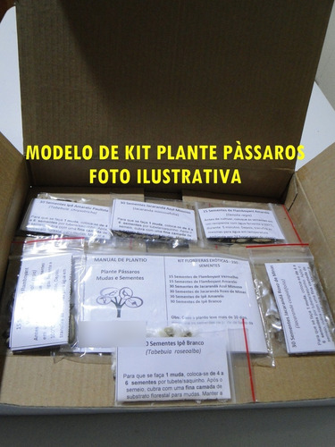 Imagem 2 de 8 de Kit 150 Sementes Árvores Nativas E Exóticas-reflorestamento