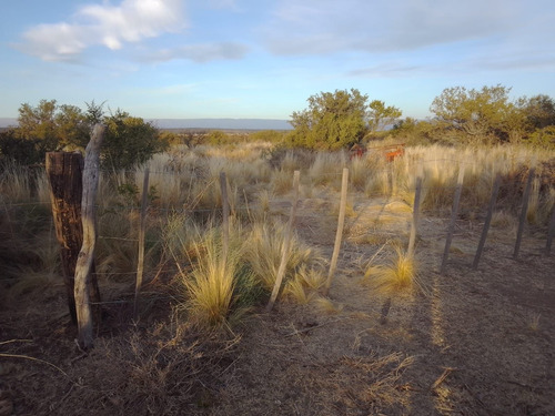 Imagen 8 de 19 de C017ta Excelente Campo De 20 Ha Para Siembra En Tasma, San Alberto