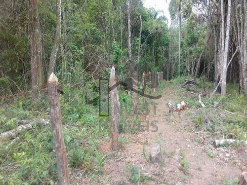 Imagem 2 de 4 de Cód 2940 - Ótimo Terreno Com 4.000 M². - 2940