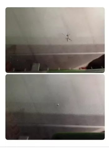 Arreglo De Vidrios Parabrisas En Warnes