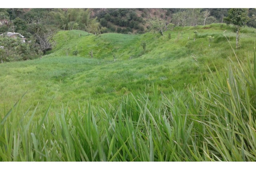 Finca Para Venta En La Esmeralda