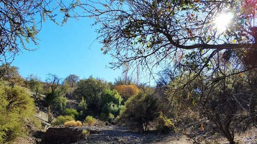Parcela En Venta En Los Andes. (cod 32).